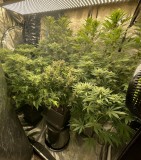 0EDE7D80-F208-4FC6-8B7A-9528B5B7412F