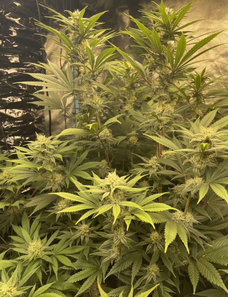 271FC6E2-F45E-4380-A6AC-AB59DE050C21