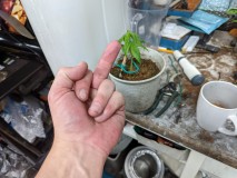 PXL_20220710_105627672