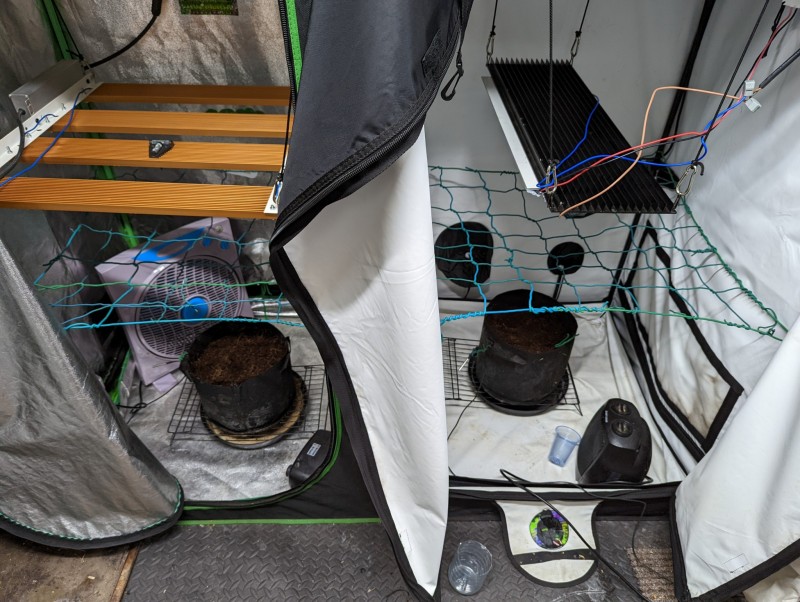 PXL_20220710_105622587