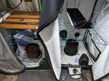 PXL_20220710_105622587