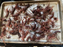 73CD04A6-1AFC-4340-BD7B-FC8BDF82D013