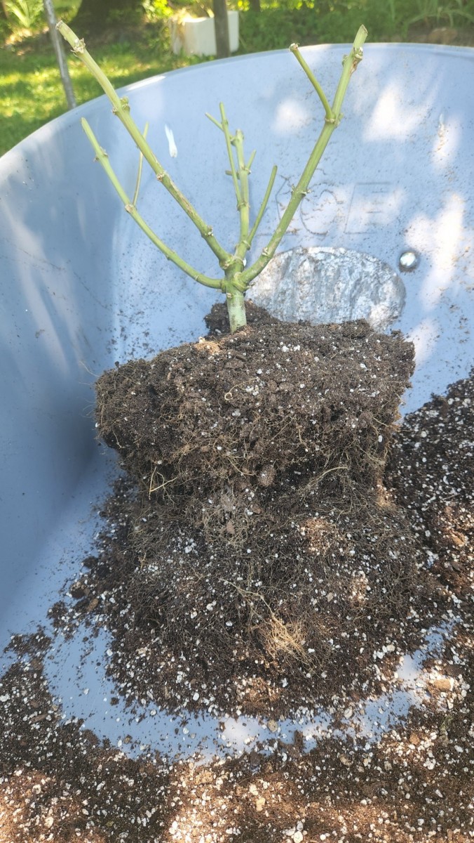 16574737616227008482701229512968