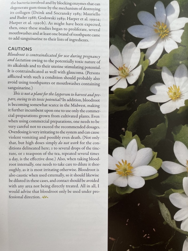 C685243A-09AD-4754-BD76-CE70AF9B19C3