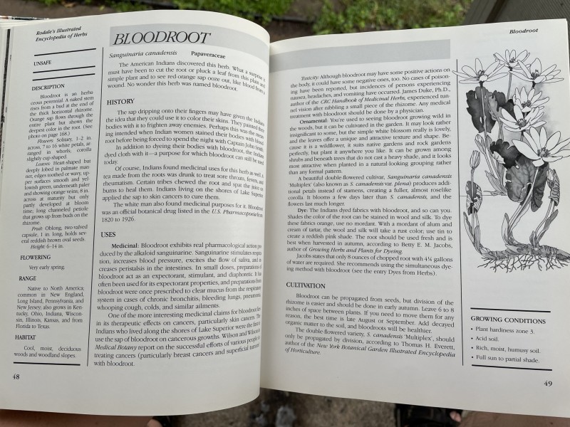 469A5551-28D7-4CAD-9602-0FD4018F0A33