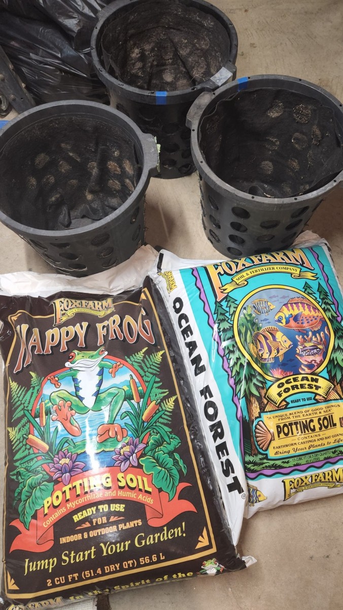 16574856249332116855600234565392