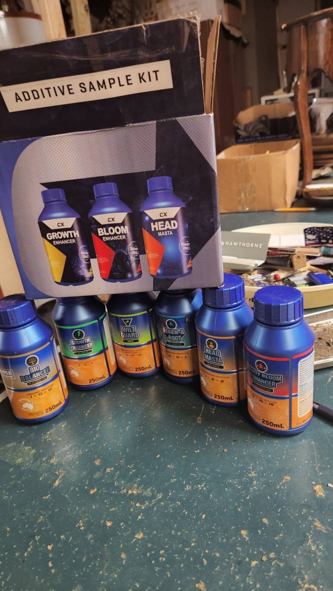 16574885395333409325011400608617