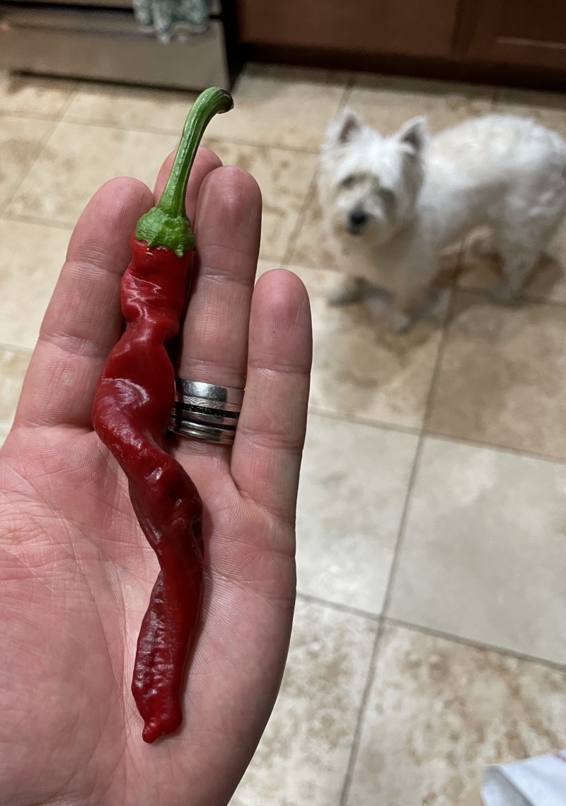 4D9EA21B-65C6-4533-8C44-DC066C6F2CBF