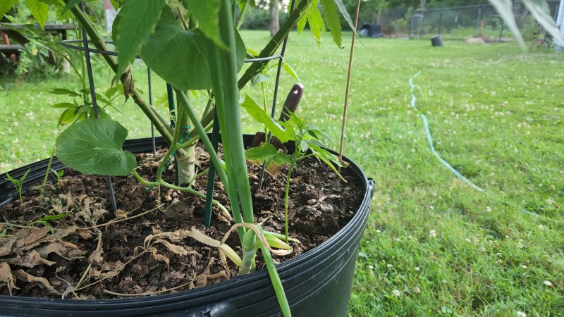 16575840282983337381164589989844