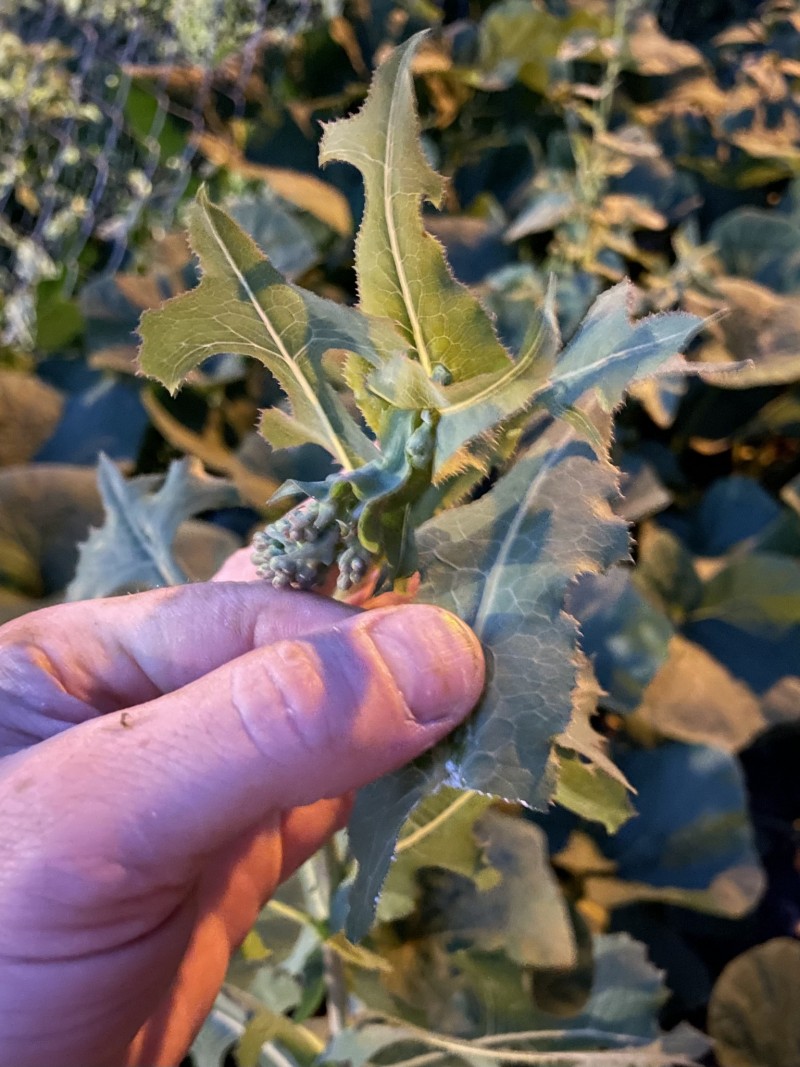 A0A2CD48-7494-42D7-8E2C-E9A5D111467E