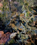 13758DE8-23D6-43ED-B80D-D2433B31DD38