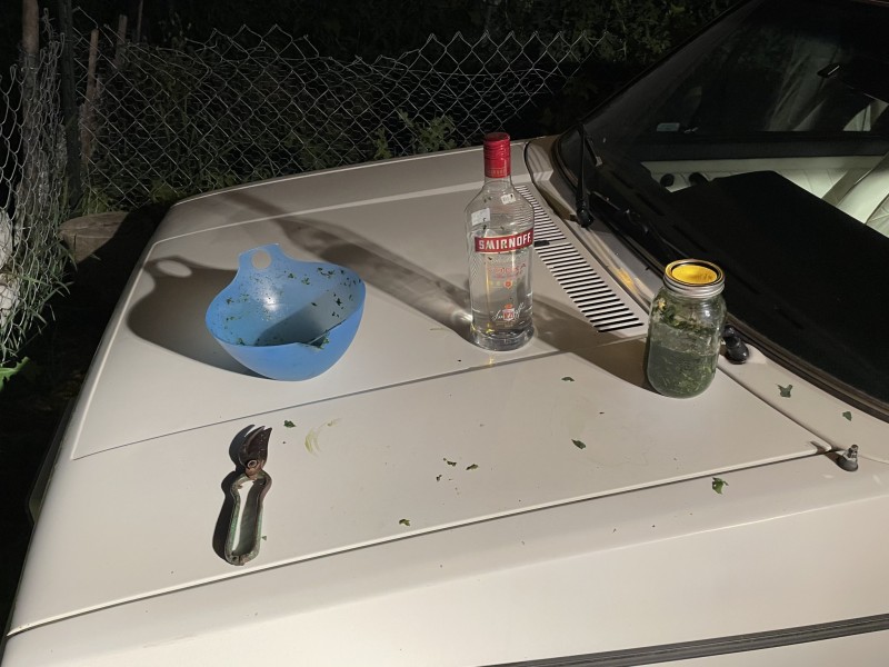 E906E4A8-82AB-41ED-AE61-E343751303B5