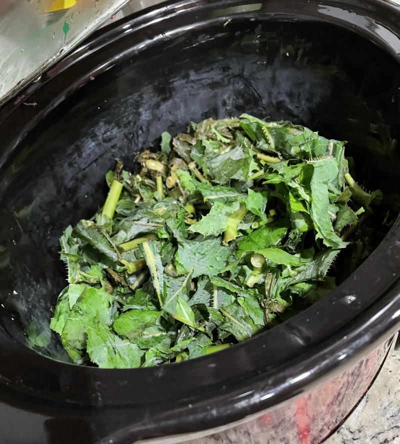 C9EDECC0-EDDA-4C99-BABB-49E8B5FEA3AC