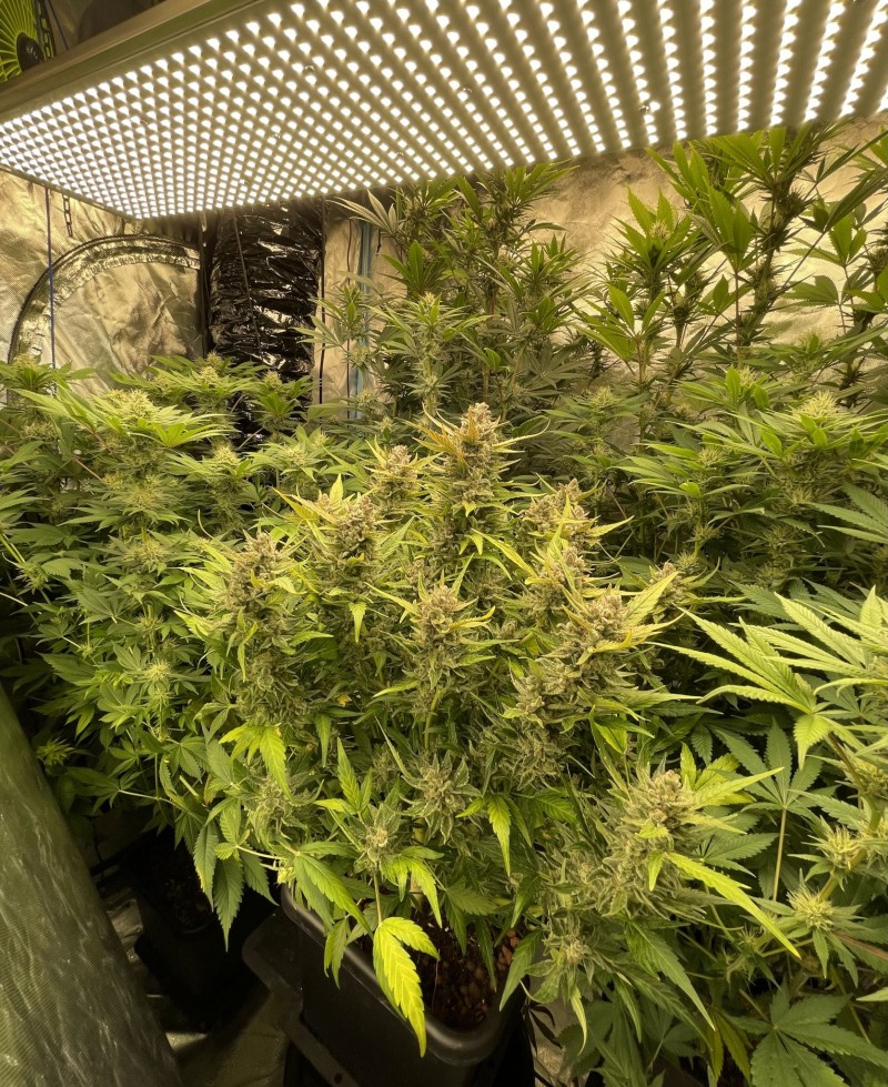 241F4D1B-255F-49ED-9329-00B66A22E628