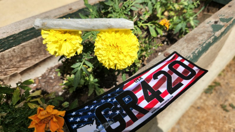 1657652636663978822593269422097