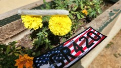 1657652636663978822593269422097