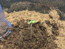 PXL_20220713_171339066