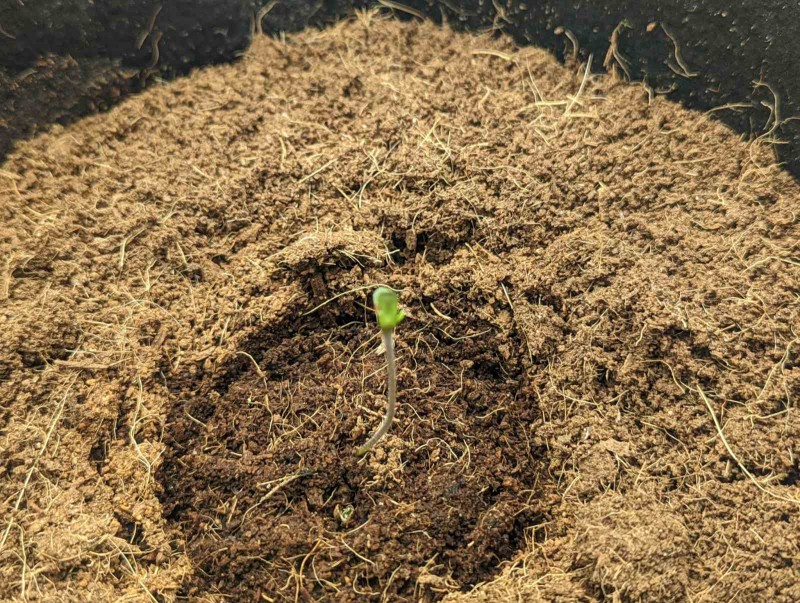 PXL_20220713_171231216