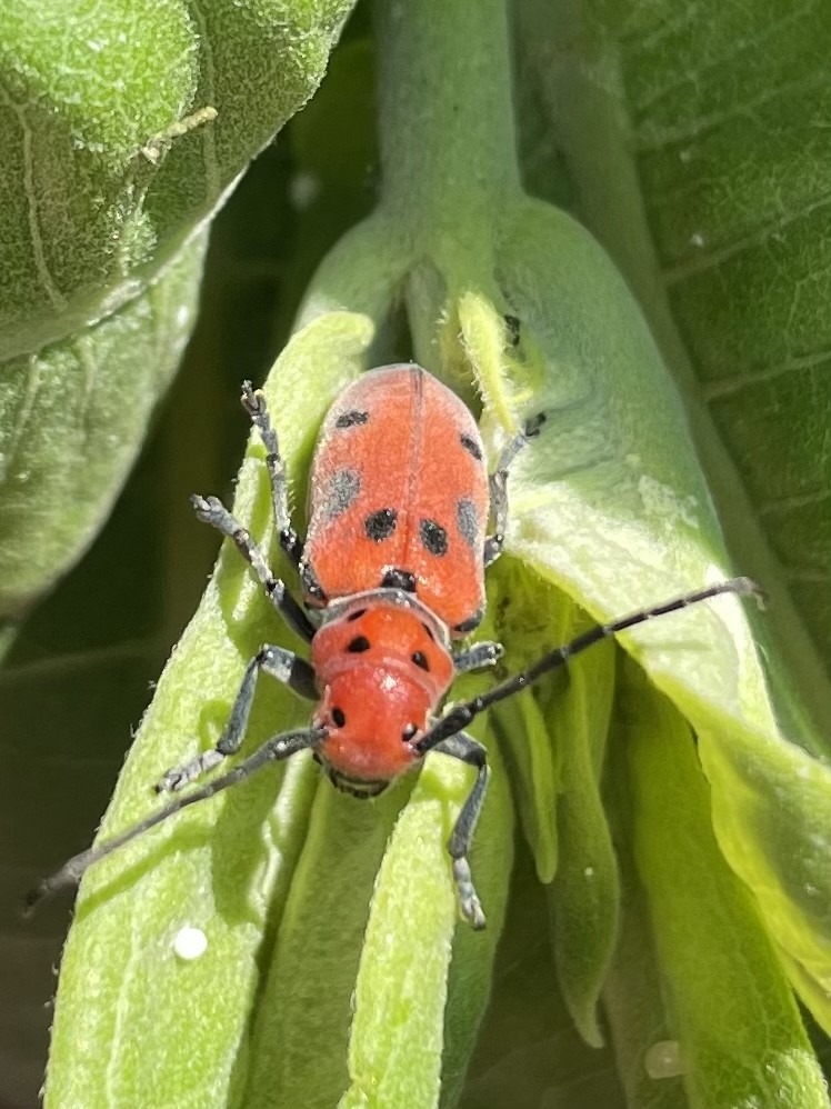 FA33D7DE-4DA0-4AEB-AFB6-96078D9D73F5