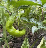 B386FFC2-6202-404E-B014-E0B526974E85