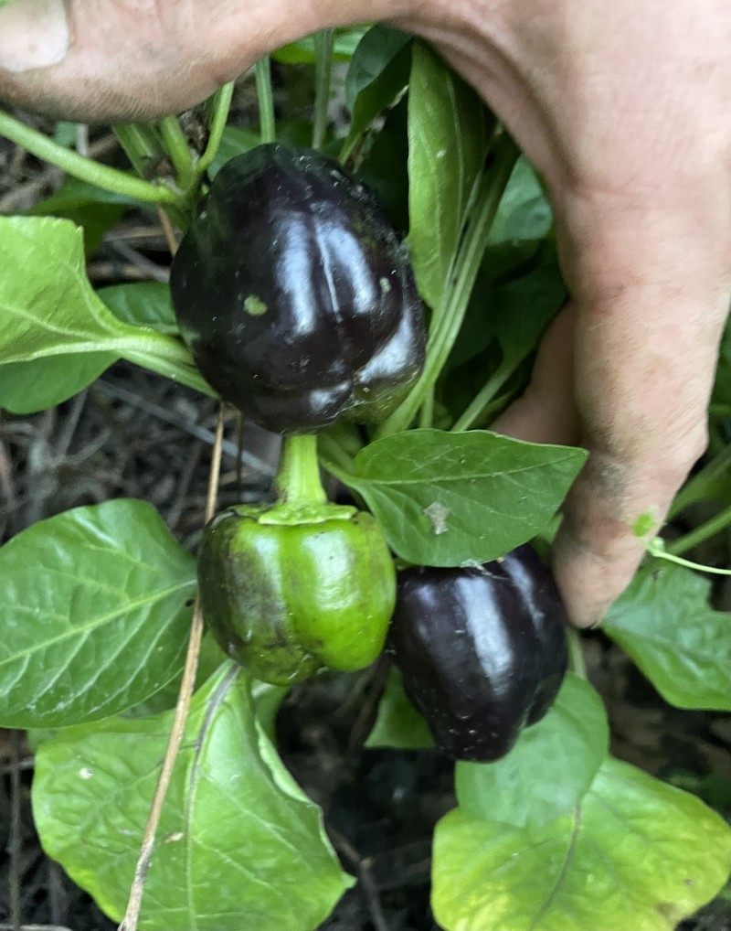 9222617C-7C45-4630-876E-0E4AC8AD3689