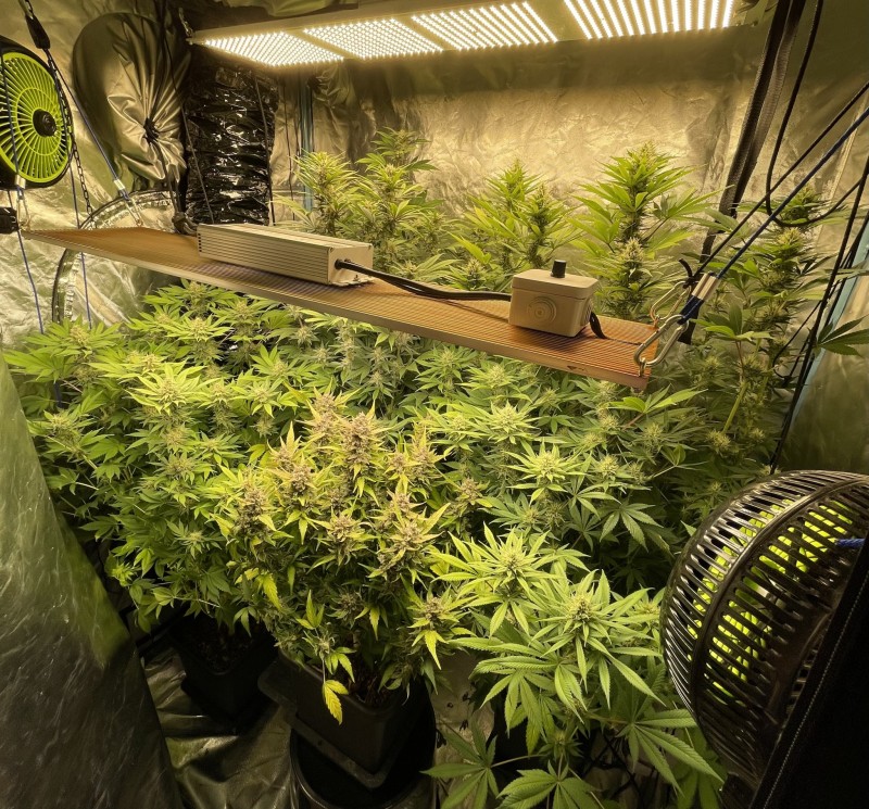 F6762CA8-E206-4B9C-9725-FF5D568B2F3B