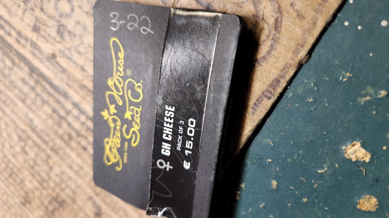 16579171260541980860788575781874