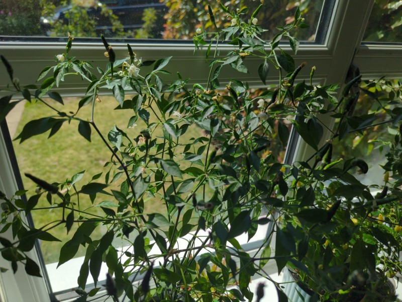 165796967247668479203399470183