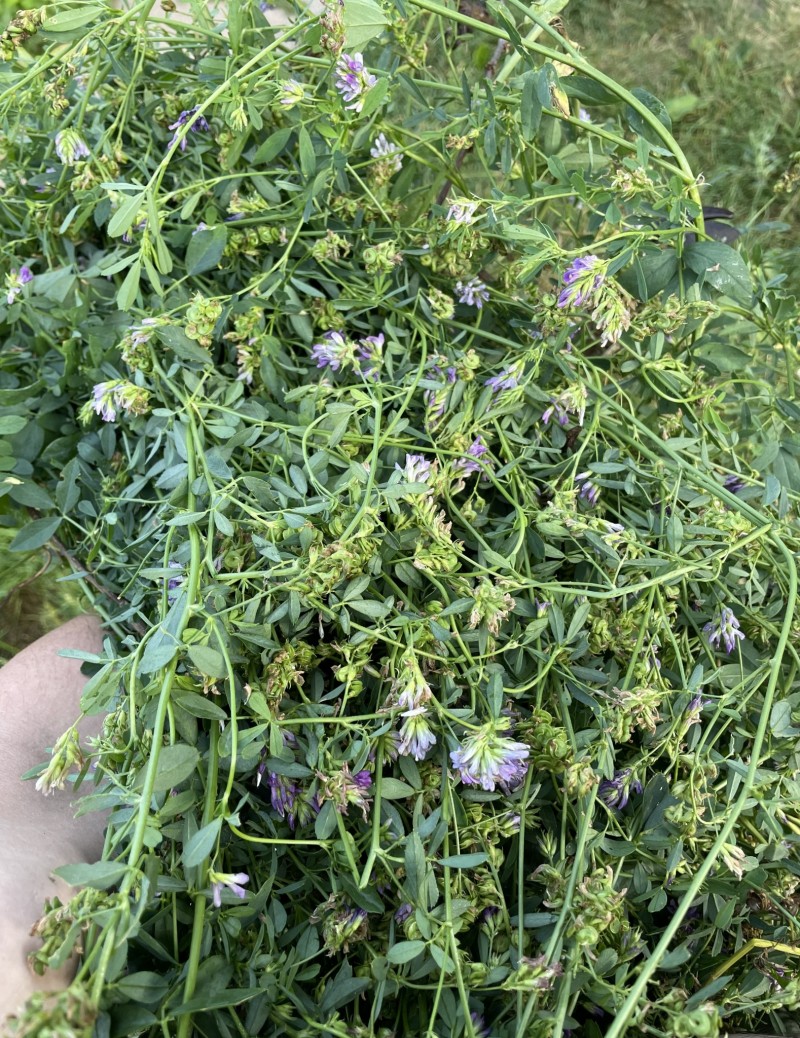 99055560-C8CF-47A7-A386-8780CB17439F