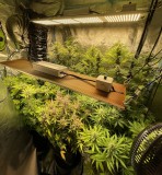 6C0F561F-798F-4D0C-841F-7F1AD5171F09