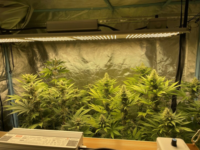 DF861CC5-C088-457B-9D4D-2686F042A8AA