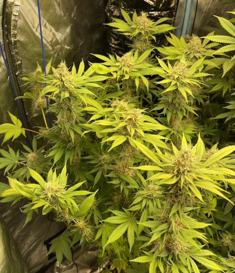 89637389-931C-4A5A-9BB6-FCF5CD996ADA