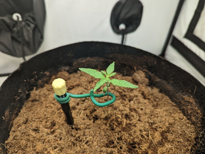 PXL_20220720_165120732