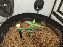 PXL_20220720_165120732