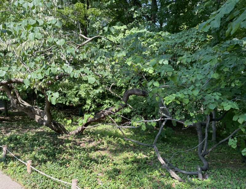 02C1DECA-E764-4896-85A5-F84FA07E432A