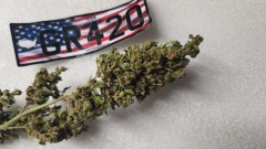 1658862284588293279732702890564