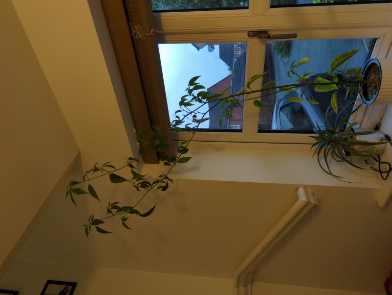 16589454791194437127934990923632