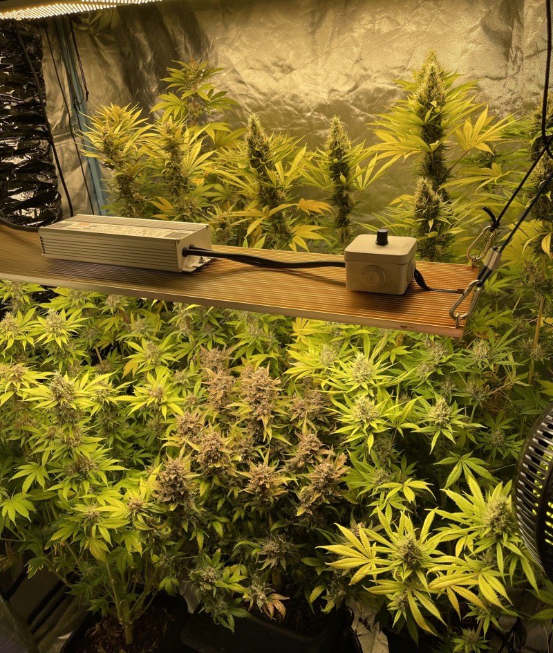 094E763A-87D7-4688-8FDD-CB1D4FFEA665