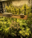 094E763A-87D7-4688-8FDD-CB1D4FFEA665