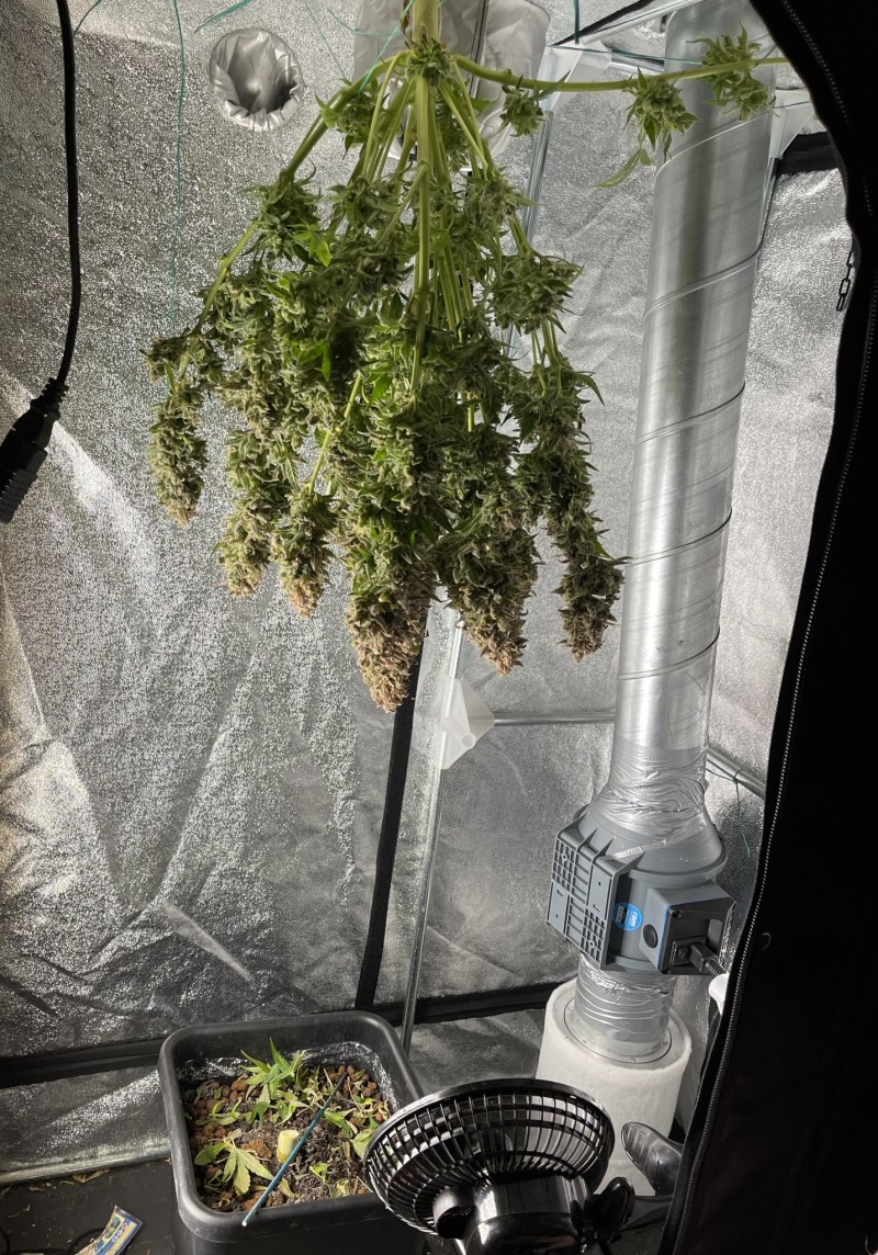 148FCE1B-CB72-44C4-9A46-AAD0C9744283