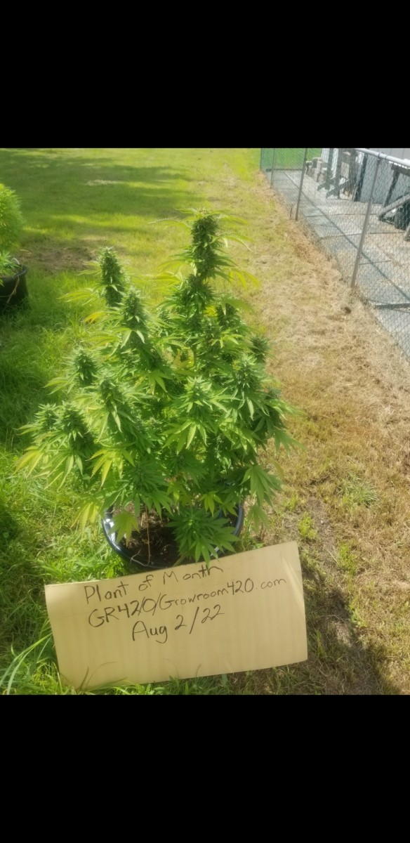 Screenshot_20220803-074538_Photos