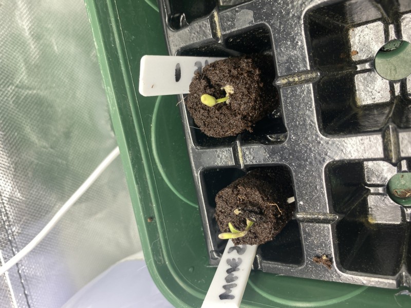 F3019FB8-0F55-4744-9318-D7A4D9630A0C