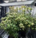 E50BD62C-6B93-4FD9-AA2C-4FE88E289789