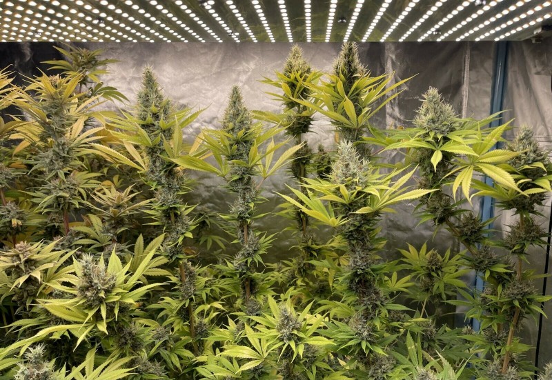 3AA5DFC8-D036-48A2-A716-718F123B2961