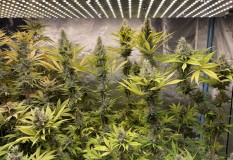 3AA5DFC8-D036-48A2-A716-718F123B2961