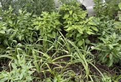 5B8B1A1B-F0FB-46FB-8C35-CB9FB66B8CDE