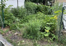 CF95C2EA-CCF6-48E8-8A37-447A786B7020