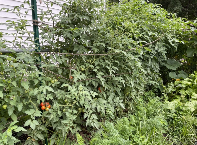 35C81FE2-F2E3-4CE3-A587-231A739C4C1A