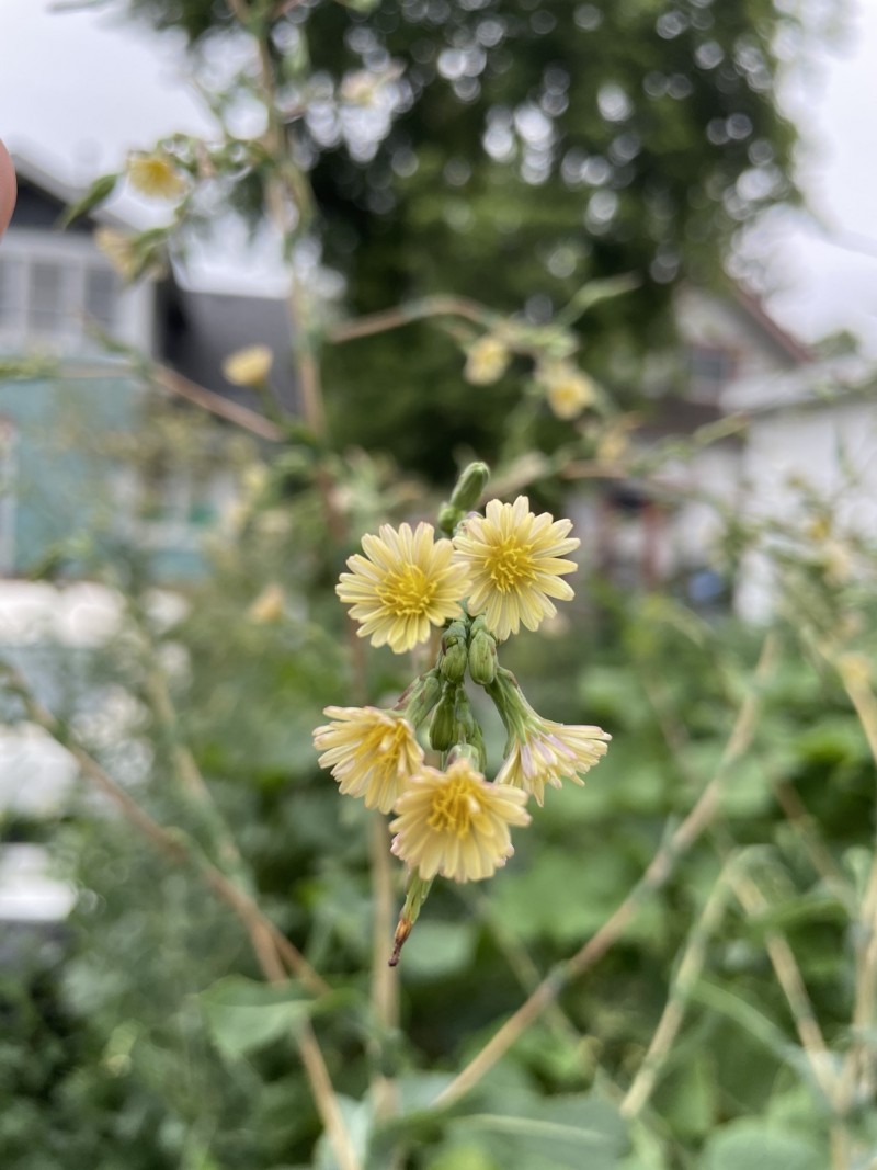 87A3A005-4966-4FB6-BD8D-9174EDFAF609