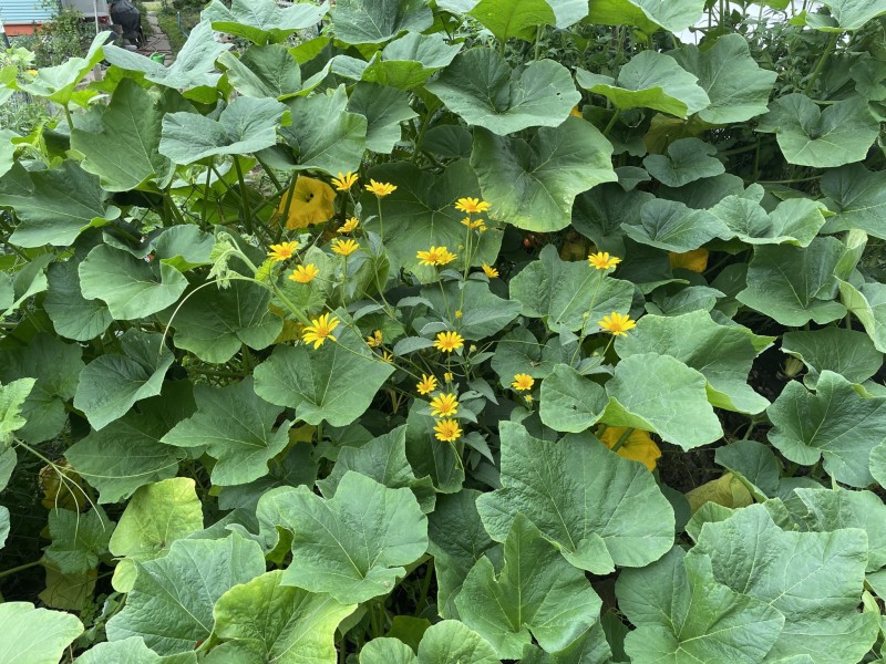 07735A74-2701-45C0-A999-F5784DDD7073